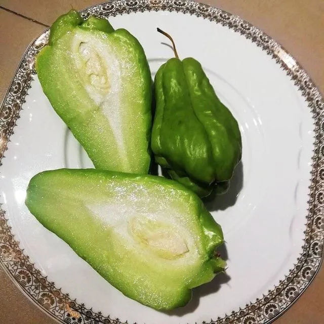 thumbnail for publication: Chayote—A Potential Vegetable Crop for Florida